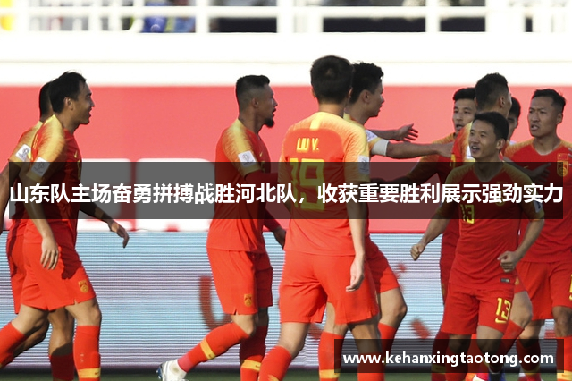 山东队主场奋勇拼搏战胜河北队，收获重要胜利展示强劲实力