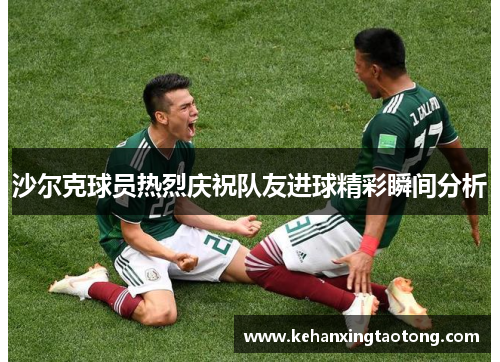 沙尔克球员热烈庆祝队友进球精彩瞬间分析