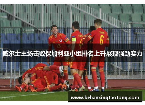 威尔士主场击败保加利亚小组排名上升展现强劲实力