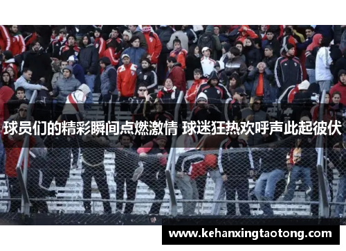 球员们的精彩瞬间点燃激情 球迷狂热欢呼声此起彼伏