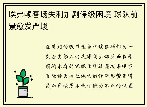 埃弗顿客场失利加剧保级困境 球队前景愈发严峻