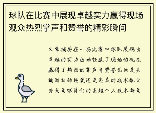 球队在比赛中展现卓越实力赢得现场观众热烈掌声和赞誉的精彩瞬间