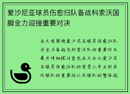 爱沙尼亚球员伤愈归队备战科索沃国脚全力迎接重要对决