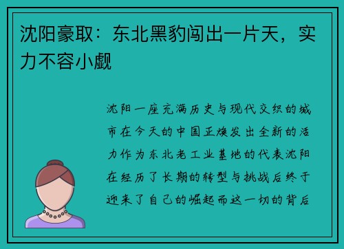 沈阳豪取：东北黑豹闯出一片天，实力不容小觑