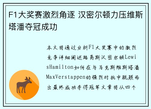 F1大奖赛激烈角逐 汉密尔顿力压维斯塔潘夺冠成功